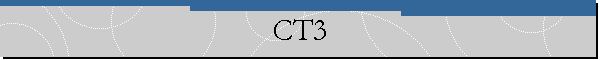 CT3